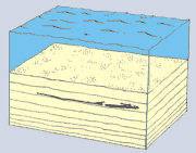 fossilizzazione 4