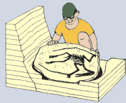 fossilizzazione 6