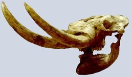 Mastodonte