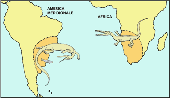 Diffusione di Mesosaurus 290 milioni di anni fa