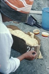 recupero balena  2